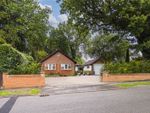 Thumbnail for sale in Oakway, Studham, Central Bedfordshire