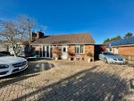 Thumbnail for sale in Southbourne Avenue, Holbury, Southampton