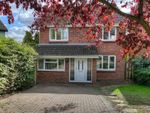 Thumbnail to rent in Cardinal Close, Colchester