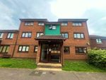 Thumbnail to rent in Taverner Close, Poole