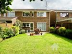 Thumbnail for sale in Delamere Road, Colchester