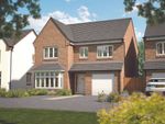 Thumbnail for sale in "Alder" at Marigold Place, Stafford