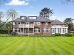 Thumbnail to rent in Edgecoombe Close, Coombe, Kingston Upon Thames