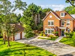 Thumbnail to rent in Park Hill Drive, Cobham, Surrey