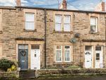 Thumbnail to rent in 14 St Wilfreds Road, Corbridge, Northumberland