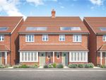 Thumbnail to rent in Plot 12 - The Fern, Mayflower Meadow, Roundstone Lane