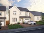 Thumbnail to rent in Priory Fields, St Clears, Carmarthen