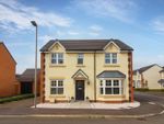 Thumbnail to rent in Boyle Grove, Spennymoor