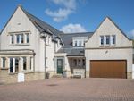 Thumbnail for sale in Michael Bruce Court, Forestmill, Alloa