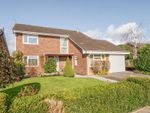 Thumbnail to rent in Ferndale Road, Chichester
