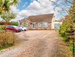 Thumbnail to rent in Cranford Close, Exmouth