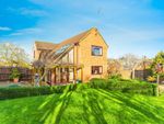 Thumbnail for sale in Orchard Close, Ringstead, Kettering