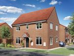 Thumbnail to rent in "The Easedale - Plot 77" at Beaumont Hill, Darlington
