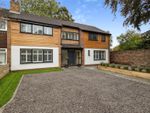 Thumbnail for sale in The Glen, Egglescliffe, Stockton-On-Tees, Durham