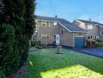 Thumbnail for sale in Brookside Road, Breadsall, Derby