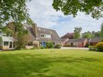 Thumbnail for sale in Bramerton Road, Surlingham, Norwich