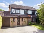 Thumbnail for sale in Walmer Close, Southwater