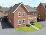 Thumbnail for sale in Spreadbury Drive, Fleet