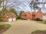 Thumbnail to rent in Howletts Loke, Salhouse, Norwich