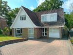 Thumbnail to rent in The Ridings, Bexhill On Sea