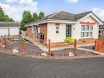 Thumbnail to rent in Cowdray Close, Newton Aycliffe