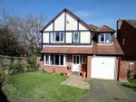 Thumbnail for sale in Ninfield Road, Bexhill On Sea