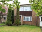 Thumbnail to rent in Pine Walk, Hazlemere, High Wycombe