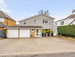 Thumbnail for sale in Orchard Road, Farnborough, Hampshire