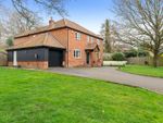 Thumbnail to rent in Bells Loke, Brundall, Norwich