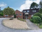 Thumbnail to rent in Kings Croft, Allestree, Derby