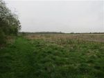 Thumbnail for sale in Land For Sale At Prospect Place, Newport Road, Emberton, Olney, Bucks