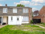 Thumbnail for sale in Chestnut Crescent, Shinfield, Reading