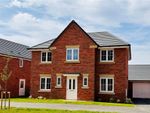 Thumbnail to rent in "Cedarwood" at Redhill, Telford