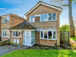 Thumbnail for sale in Plover Close, Southampton