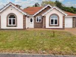 Thumbnail for sale in Nightingale Way, Clacton-On-Sea