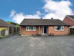 Thumbnail for sale in Firgrove Road, Whitehill, Bordon, Hampshire