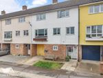Thumbnail to rent in Collins Meadow, Harlow