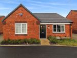 Thumbnail to rent in Michaelwood Way, Bolsover, Chesterfield