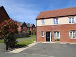 Thumbnail for sale in Marigold Way, Daventry
