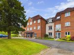Thumbnail for sale in Easterfield Court, Driffield