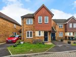 Thumbnail to rent in Cedar Gardens, Havant