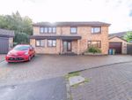 Thumbnail to rent in Langton View, East Calder