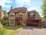 Thumbnail for sale in Ash Tree Close, Heathfield, East Sussex