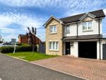 Thumbnail for sale in Macpherson Avenue, Dunfermline