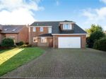 Thumbnail for sale in Salterns Lane, Hayling Island, Hampshire