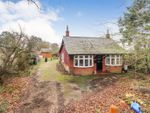 Thumbnail for sale in Yarmouth Road, Ellingham
