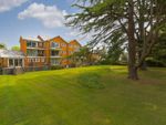 Thumbnail to rent in Palace Road, East Molesey