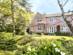 Thumbnail to rent in Flambard Road, Lower Parkstone, Poole, Dorset