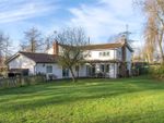 Thumbnail for sale in Finchingfield Road, Little Sampford, Nr Saffron Walden, Essex