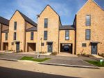 Thumbnail to rent in Blackthorn Way, Winteringham, St Neots